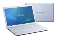 Продать ноутбук Sony VAIO VPC-EC2M1R. Скупка ноутбуков Sony VAIO VPC-EC2M1R